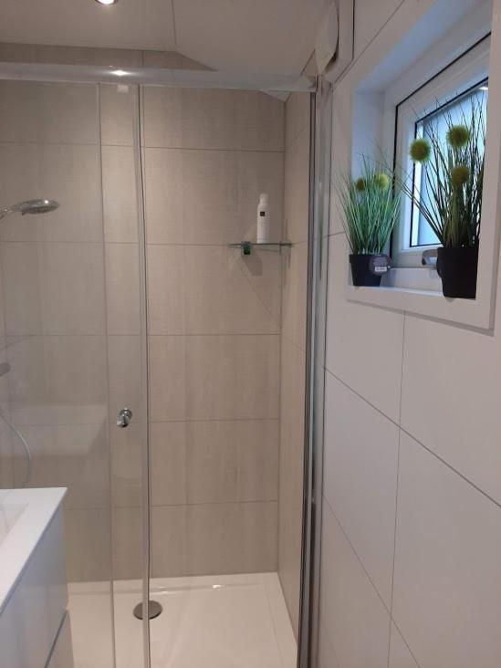 De Woudtplaats Villa Wolfheze Exteriör bild